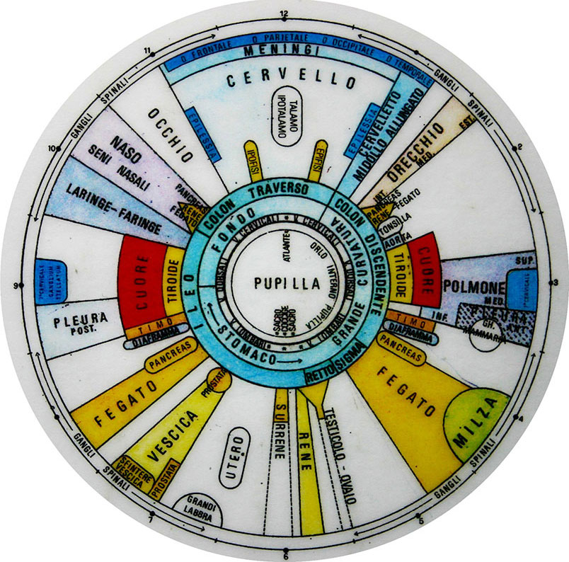 Iridologa-pieracena-iride-2