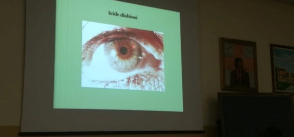 Scopri di più sull'articolo Dall’alimentazione all’iride