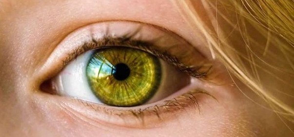 Scopri di più sull'articolo Il significato del colore: occhi verdi