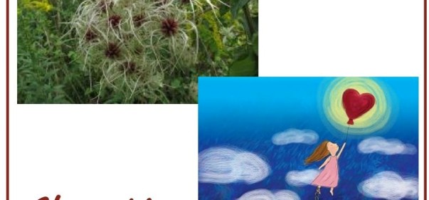 Scopri di più sull'articolo Clematis: il fiore per stare nel presente