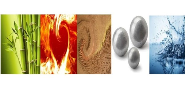 Scopri di più sull'articolo Iridologia e medicina tradizionale cinese