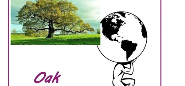 Scopri di più sull'articolo Oak: la flessibilità equilibra in me forza e perseveranza