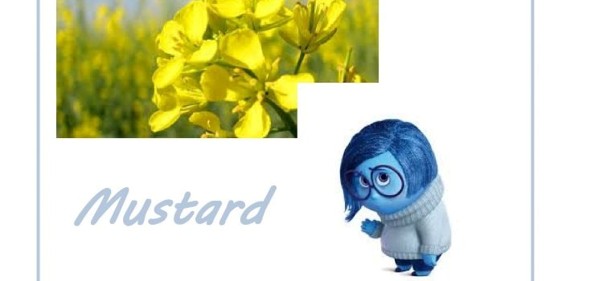 Scopri di più sull'articolo Mustard: disperdo le nubi della tristezza e ritrovo la serenità