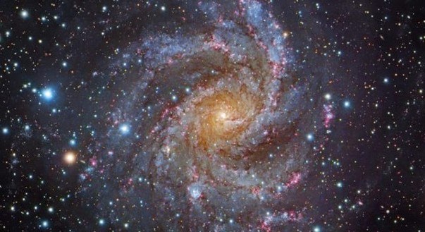 Scopri di più sull'articolo Sembra una galassia!