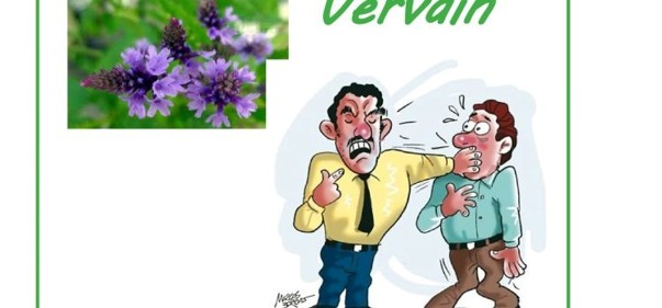 Scopri di più sull'articolo Vervain: vivo le mie idee con moderazione