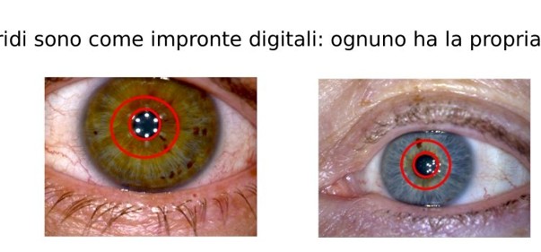 Scopri di più sull'articolo Le iridi sono come impronte digitali: ognuno ha la propria