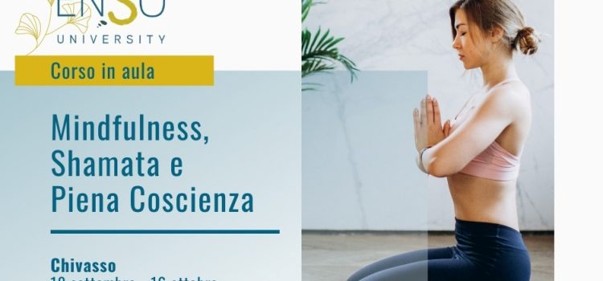 Scopri di più sull'articolo Mindfullness, shamata, piena coscienza